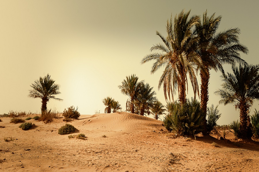 5 day tour from Marrakech to Chegaga dunes